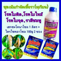 ชุด กำจัดเชื้อราทุเรียน ชุดเน้น2ตัวบวก เฮกซะโคนาโซล 1ลิตร+ไตรไซคลาโซล 100 g  2ซอง ยาทุเรียน โรคใบติด ใบไหม้ ใบจุด ราสีชมพู แอนแทรคโนส ดอก