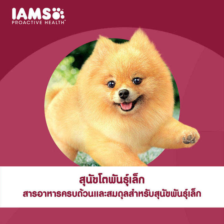 iams-ไอแอมส์-โปรแอคทีฟ-เฮลท์-อาหารสุนัขพรีเมียม-อาหารสุนัขแบบแห้ง-สำหรับสุนัขโตสายพันธุ์เล็ก-3-กก-อายุ-1-ปีขึ้นไป