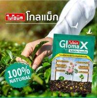 ไบโอนิค โกลแม็ก 1 ซอง 100 กรัม BIONIC Glomax ไมเคอร์ไรซา กระตุ้นการเจริญเติบโตพืช ป้องกันโรคพืช เพิ่มผลผลิต เพิ่มความแข็งแรงทนทานให้กับพืช