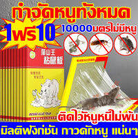 ?ซื้อ 2 แผ่นแถม 20 แผ่น? กาวดักหนูถาด ปริมาณเยอะกว่ากาวทั่วไป10เท่ากาวดักหนู เหนียวหนึบพิเศษ ติดทน ปลอดสารพิษ งู หนู แมลงสาบ จิ้งจก ตุ๊กแก แมงมุม ติดได้ ติดไวัหนูหนีไม่พ้น ได้ผล 100% แผ่นกาวดักหนู กาวดักหนู แน่นๆ กาวดักหนูใหญ่ ใช้ซ้ำได้