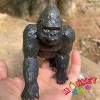 Monkey Toys - โมเดลสัตว์ Gorilla ลิง กอริลา ขนาด 11.00 CM (จากหาดใหญ่)