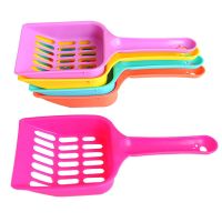 Plastic cat litter Modern Design Use Easy Pet Shovel Sand Scoop Waste Dog Puppy Litter Hollow Out Food Spoons arenero gato