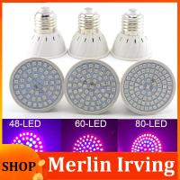 Merlin Irving Shop 200 300 LED Plant Grow light bulb phytolamp full spectrum Flower growing lamp E27 for indoor greenhouse growtent Hydroponic