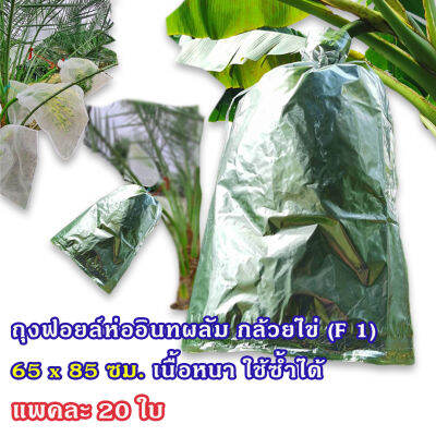 แพคละ 20 ใบ ถุงฟอยล์เนื้อหนา ขนาด 65 x 85 ซม. ห่ออินทผลัม ห่อกล้วยไข่ (F 1) ใช้ซ้ำได้ ราคา 240 บาท