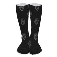 【jw】❦☇☸  Anatomical Socks designer retro Men′s sock