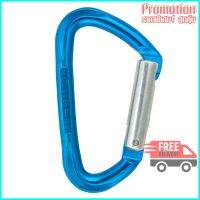 Progression Karabiner - Rocky Blue