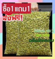 ส่งฟรี? ซื้อ1 ฟรี1 เมล็ดฟักทอง พร้อมทาน เกรด AAA /Roated Pumpkin Seeds (เลือกขนาดก่อนสั่งทุกครั้ง) เม็ดฟักทอง ฟักทองอบ เมล็ดฟักทองอบ ถั่วธัญพืชรวม ขนมกินเล่นถูกๆ ขนมกินเล่น อาหารพร้อมทาน ธัญพืชรวม ธัญพืชอบแห้ง