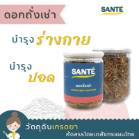 SANTÉ ซานเต้ ดอกถั่งเช่า Cordyceps Militaris บำรุงร่างกาย 80 กรัม