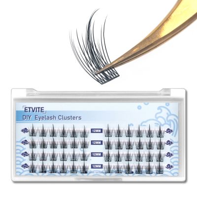 ETVITE Cluster Lashes Individual Lashes Handmade Beam Eyelashes Segments Natural Eye Lash Dovetail DIY Eyelashes