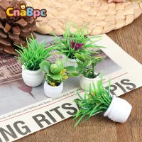 【YF】✁☸  5pcs 1:12 Dollhouse Miniature Pot Accessories