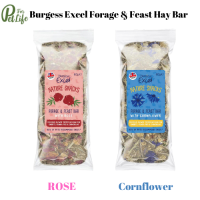 Burgess Excel Nature Snacks Forage &amp; Feast Hay Bar Cornflower,Rose หญ้าอัดแท่งลับฟัน ขนาด 60 g.