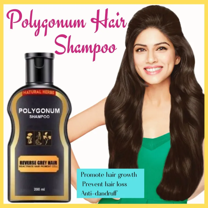 BEST SELLER!! Polygonum Multiflorum Hair Shampoo AntiDandruff Prevent