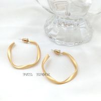 Hypoallergenic s925 Silver Hoop Earrings Personality Earrings Female Simple Temperament Thick Ring Gold Frosted Circle Earrings ✲۞