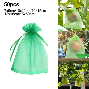 Strong Anti Bird Net Nylon Garden Netting Mesh for Fruit Crop