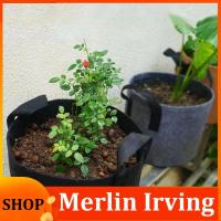 Merlin Irving Shop 10 Gallon Garden Plant Grow Bags Vegetable Flower Pot Planter DIY Potato Garden Pot Plant Growing Bag Tools