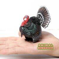 Animal Kingdom - โมเดล Turkey ไก่งวง ขนาด 6.60 CM (จากสงขลา)