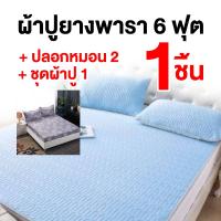 Clean &amp; Cool คลีน แอนด์ คูล ผ้าปูที่นอนยางพารา ผ้าปูที่นอนกันน้ำ 100% พร้อมของแถม