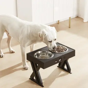 Elevated dog feeder on sale for large dogs