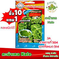 (ซื้อ10แถม1) เมล็ดพันธุ์ คะน้าเคล Curly Green Kale ประมาณ 500เมล็ด 3A สามเอ คะน้าใบหยิก คะน้าใบสลัด เคลใบหยิก ผักสวนครัว เมล็ดพันธุ์พืช เมล็ดผัก