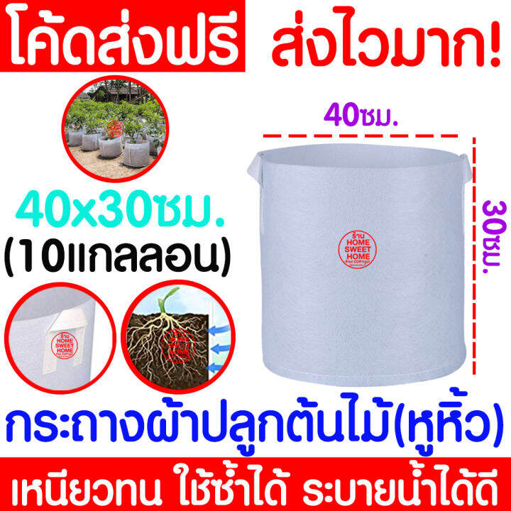 ส่งเร็ว-กระถางผ้า-40x30cm-10แกลลอน-กระถางต้นไม้-กระถาง-สีขาว-มีหูหิ้ว-กระถางผ้าปลูกต้นไม้-ถุงปลูกต้นไม้-กระถางขาว-non-woven-fabric-grow-bag-flower-pot