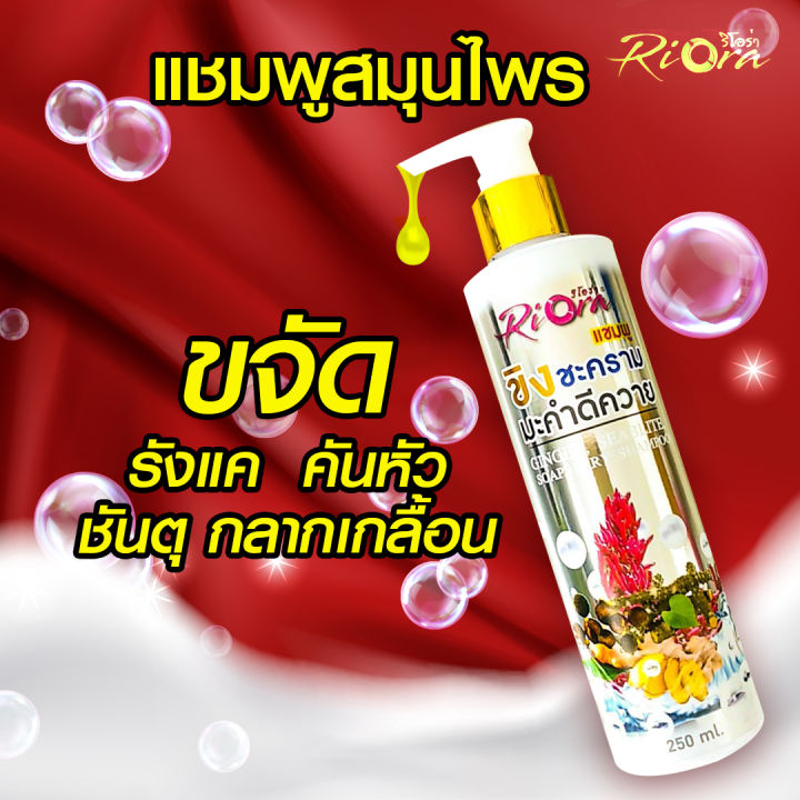 แชมพูริโอร่า-ขิงชะครามมะคำ-แชมพูสูตรโบราณ-สำหรับคันศีรษะ-รังแค-ชันตุ-กลากเกลื้อน-เชื้อรา-บนหนังศีรษะ