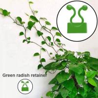 M2UR0PW 10/20/50/100pcs Hook Bracket Cages Holder Wall Rattan Clamp Wall Vines Fixture Plant Climbing Wall Clip Plant Stent Support