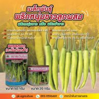 เมล็ดพันธุ์พริกหนุ่มขาวเพชรหยก (ตะวันต้นกล้า) ขนาด 20-50 กรัม