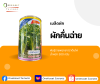 เมล็ดผักคื่นฉ่าย ตราต้นไผ่ น้ำหนัก 300 กรัม