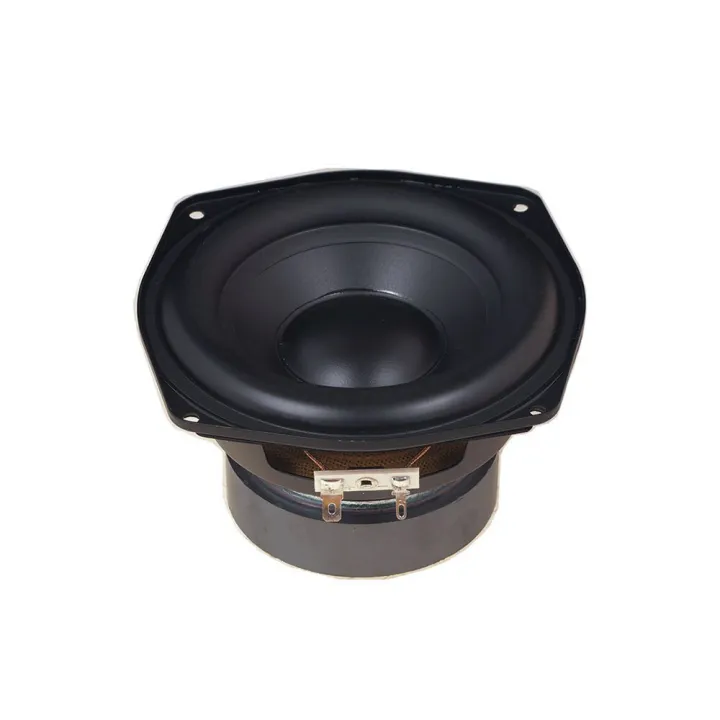 DIY Subwoofer Speaker Dual Voice Coil 2 Euro 40W Speaker Fever Speaker