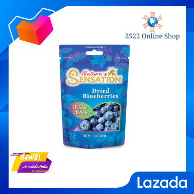 ☘️โปรส่งฟรี☘️ WINTER เนเจอร์ เซนเซชั่น วินเทอร์บลูเบอร์รี่อบแห้ง 170ก.  Natures Sensation Dried Blueberry  คัดสรรวัตถุดิบดีเยี่ยม มีเก็บปลายทาง