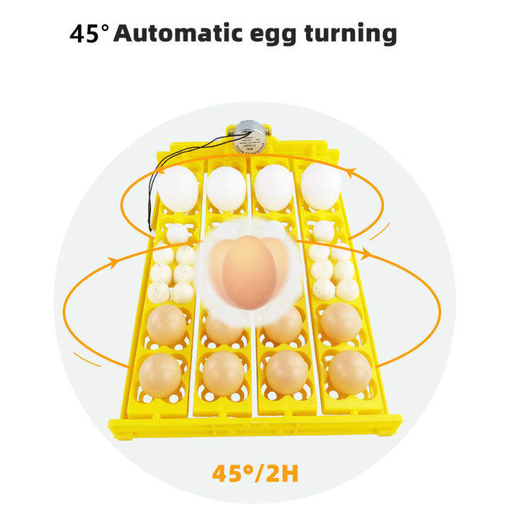 45° Automatic Incubator 24 Eggs Turn Roller Egg Tray Bird Duck Chicken