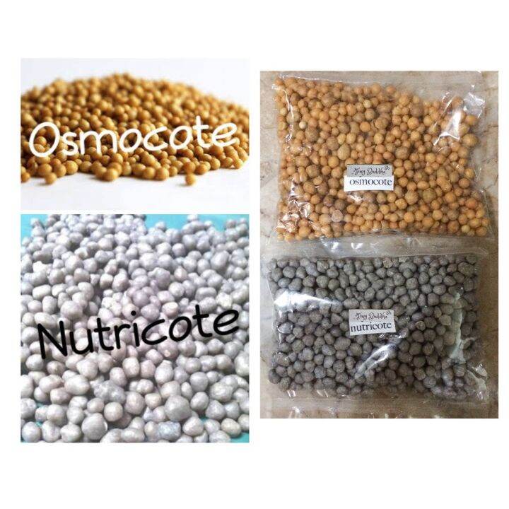 osmocote nutricote fertilizer plant cactus succulent plant food slow
