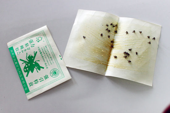 กาวดักแมลงวัน-แพ็ค-5-แผ่น-รุ่นกระดาษ