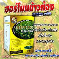 นิปปอนพลัส ปุ๋ยเกล็ด สูตรพิเศษ ธาตุอาหารรอง ข้าวออกพรึบ ออกสุดรวง เมล็ดเต่งใส น้ำหนักดี ( ขนาด 1 กิโลกรัม)