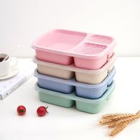 hot【cw】 Microwave Bento With Compartment Boxes Food Kids School Adult Office LunchBox