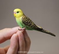 【CW】Wild Animal Little Birds Model Ornaments Cute Small Parrots Fairy Garden Miniature Accessories Decor Action Figure Figurine Toys
