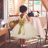 Toddler Baby Girl Dress Big Bow Baptism Dress for Girls First Year Birthday Party Wedding Dress Baby Clothes Tutu Fluffy Gown