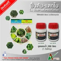 ( Promotion+++) คุ้มที่สุด [สินค้ามาใหม่/] ฟื้นต้น - ฟื้นสภาพต้น หลังเก็บเกี่ยว ต้นสมบูรณ์ ใบแข็งตั้ง ใบใหญ่ (ขนาด 200 ซีซี) ราคาดี พรรณ ไม้ น้ำ พรรณ ไม้ ทุก ชนิด พรรณ ไม้ น้ำ สวยงาม พรรณ ไม้ มงคล