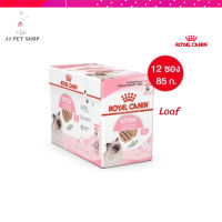 ?✨ส่งฟรี ส่งด่วนๆๆ[ยกกล่อง 12 ซอง] Royal Canin Kitten Pouch Loaf อาหารเปียกลูกแมว อายุ 4-12 เดือน จัดส่งฟรี ✨