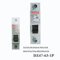 【Worth-Buy】 220V-400V 1P 1A/2A/3A/4A/6A/10A/16A/20A/25A/32A/40A/50A/63A Dz47-63 CE Air ในครัวเรือน Circuit Breaker