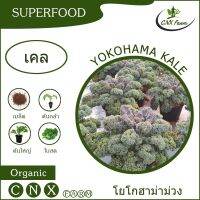 เคลโยโกฮาม่าม่วง