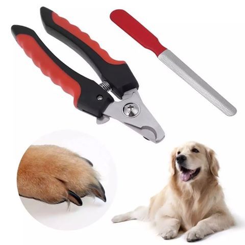 กรรไกรตัดเล็บสุนัข-size-m-สีดำแดง