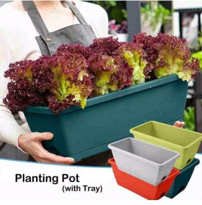 【FREE PLANT TRAY】50Cm Nordic Style Planter Box Vegetable Garden Tools ...