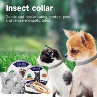 ZZOOI Cats Dogs Mosquitoe Repellent Collar Pet Antiparasitic Anti Flea Tick Collar Small Large Dog Cat Leash Retractable Pet Supplies