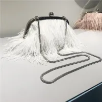 กระเป๋าราตรีพร้อมสายโซ่มุกและกระเป๋าคลัตช์โซ่งู Feather Crossbody Bag For Women Girl Ladies Party Dress