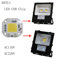 30W 50W LED COB Chip LED High Power Projection Lamp, Outdoor Lighting, Advertising lamp, Inductive Floodlight