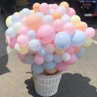 （HOT) Macaron Balloon Birthday Party Decoration Factory ขายส่งตกแต่งงานแต่งงานสีทึบ 2.2 กรัม 10 ลูกโป่งกลมนิ้ว