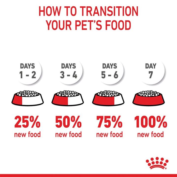 ส่งฟรี-royal-canin-mini-indoor-puppy-500g-อาหารเม็ดลูกสุนัข-พันธุ์เล็ก-เลี้ยงในบ้าน-อายุ-2-10-เดือน