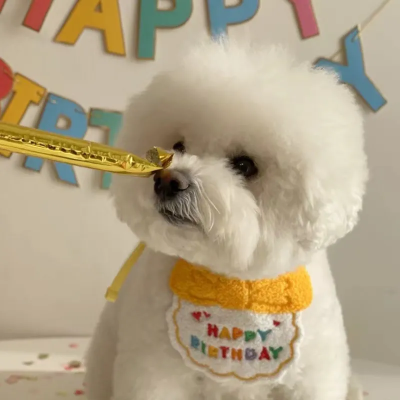 Kakaoppa phong cách Ins Quần áo thú cưng dễ thương chúc mừng sinh nhật tam  giác Bộ khăn mũ quần áo cho chó | Lazada.vn