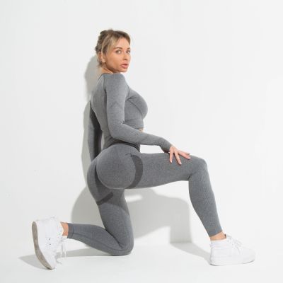 2-Piece Set of Womens Sportswear Seamless Fitness Sports T-Shirt Sports Leggings Suit Outdoor Sports Running Clothing Buttocks